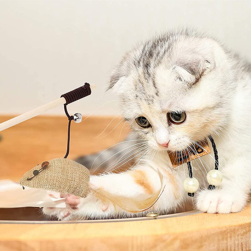 Qpets Premium Cat Toy Interactive Cat Toys Set of 5 Cat Teaser Wand Pet Toy for Cat Activity Fishing Rod with Mouse Natural Feathers Toys for Kittens to Play Cat Games and Toys Mouse Toy Qpets Premium Cat Toy Interactive Cat Toys Set of 5 Cat Teaser Wand Pet Toy for Cat Activity Fishing Rod with Mouse Natural Feathers Toys for Kittens to Play Cat Games and Toys Mouse Toy